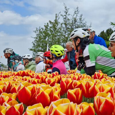 Holland bike tours